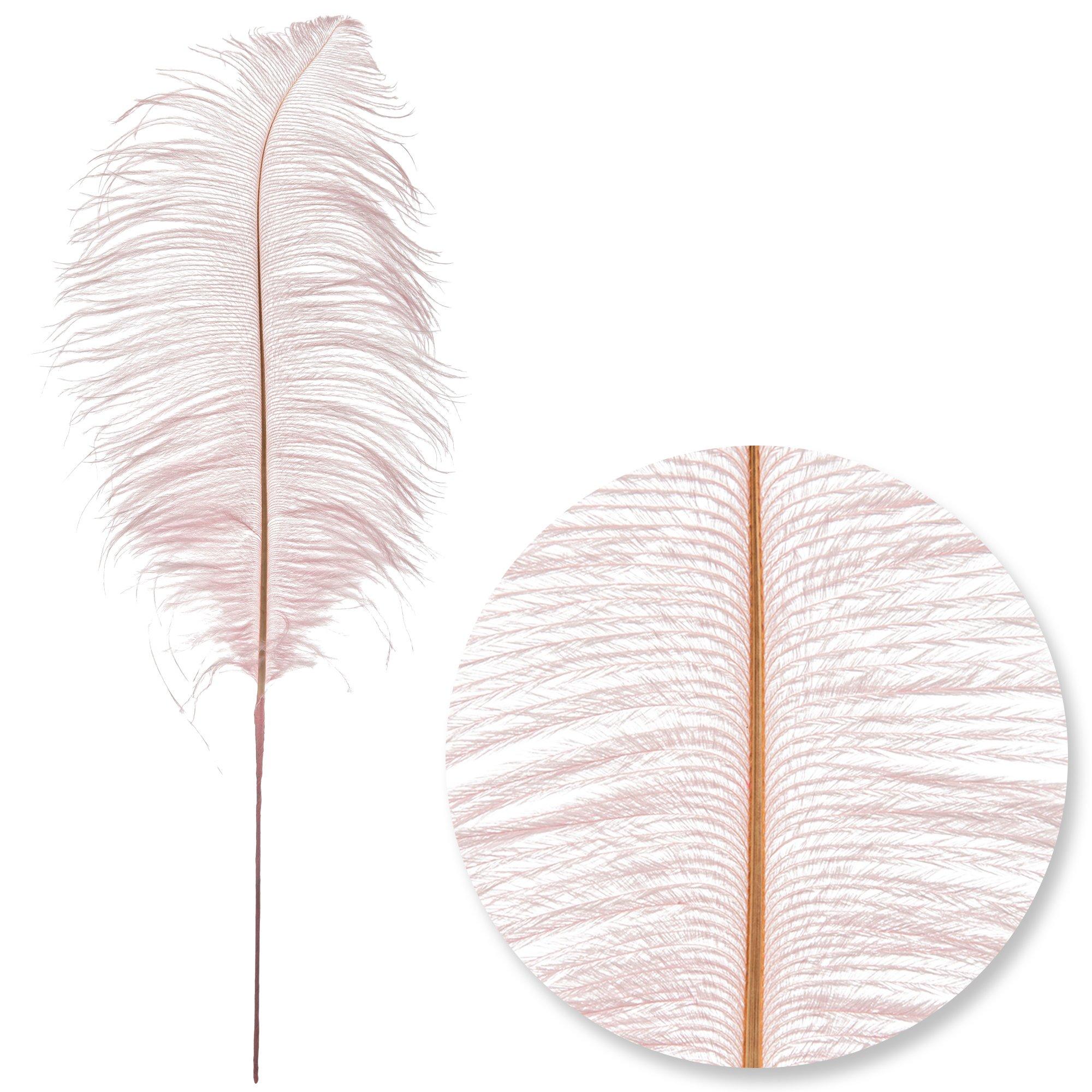 Dyed Ostrich Feather Pick | Hobby Lobby | 312132