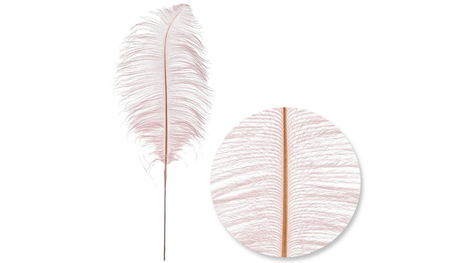 flowerlower320design Brown Feather 312132-3069-04212025-IMGSET?w=