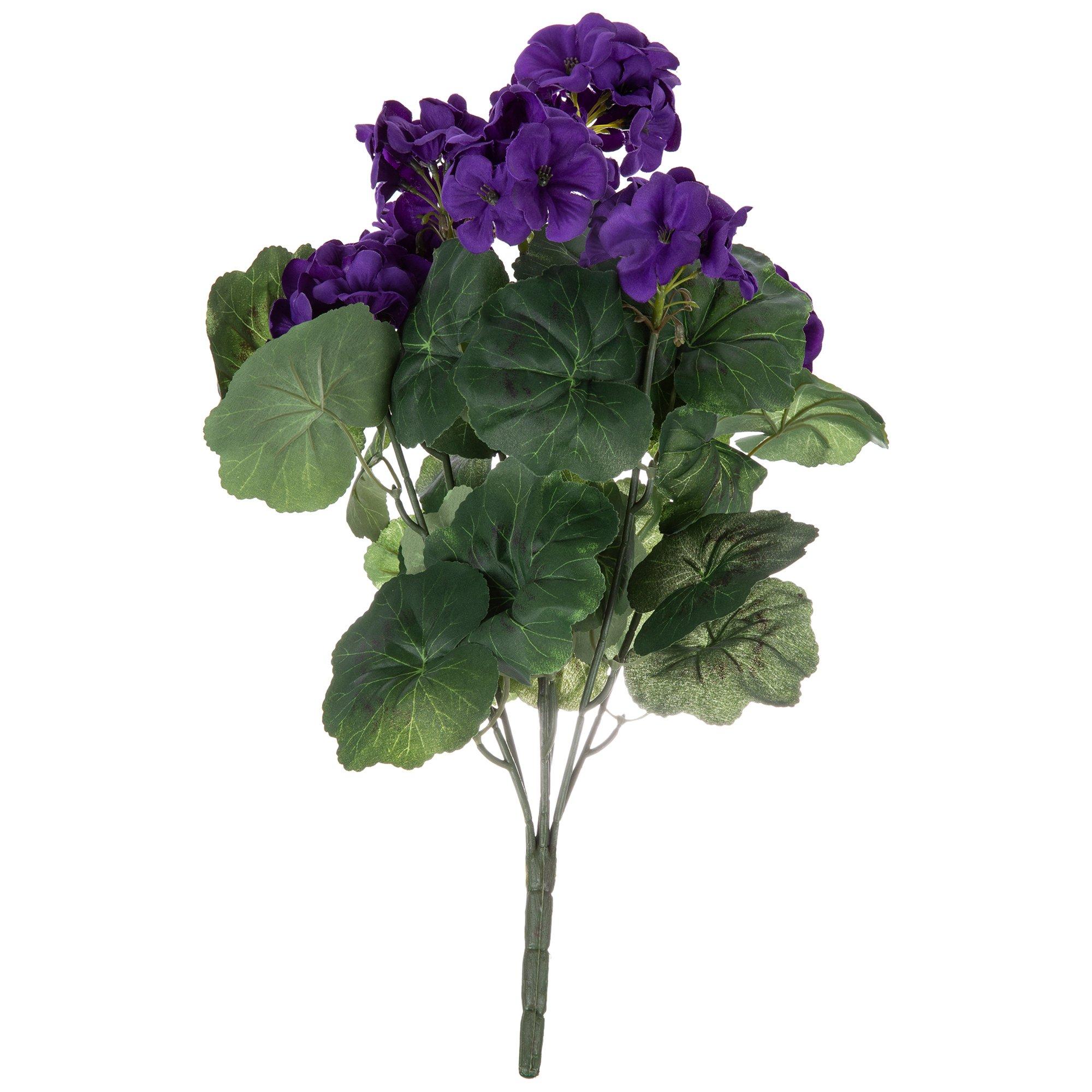 Geranium Bush Hobby Lobby 327205