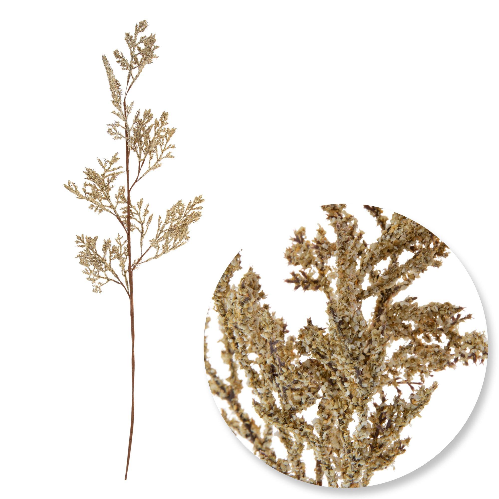 Selected Product Image