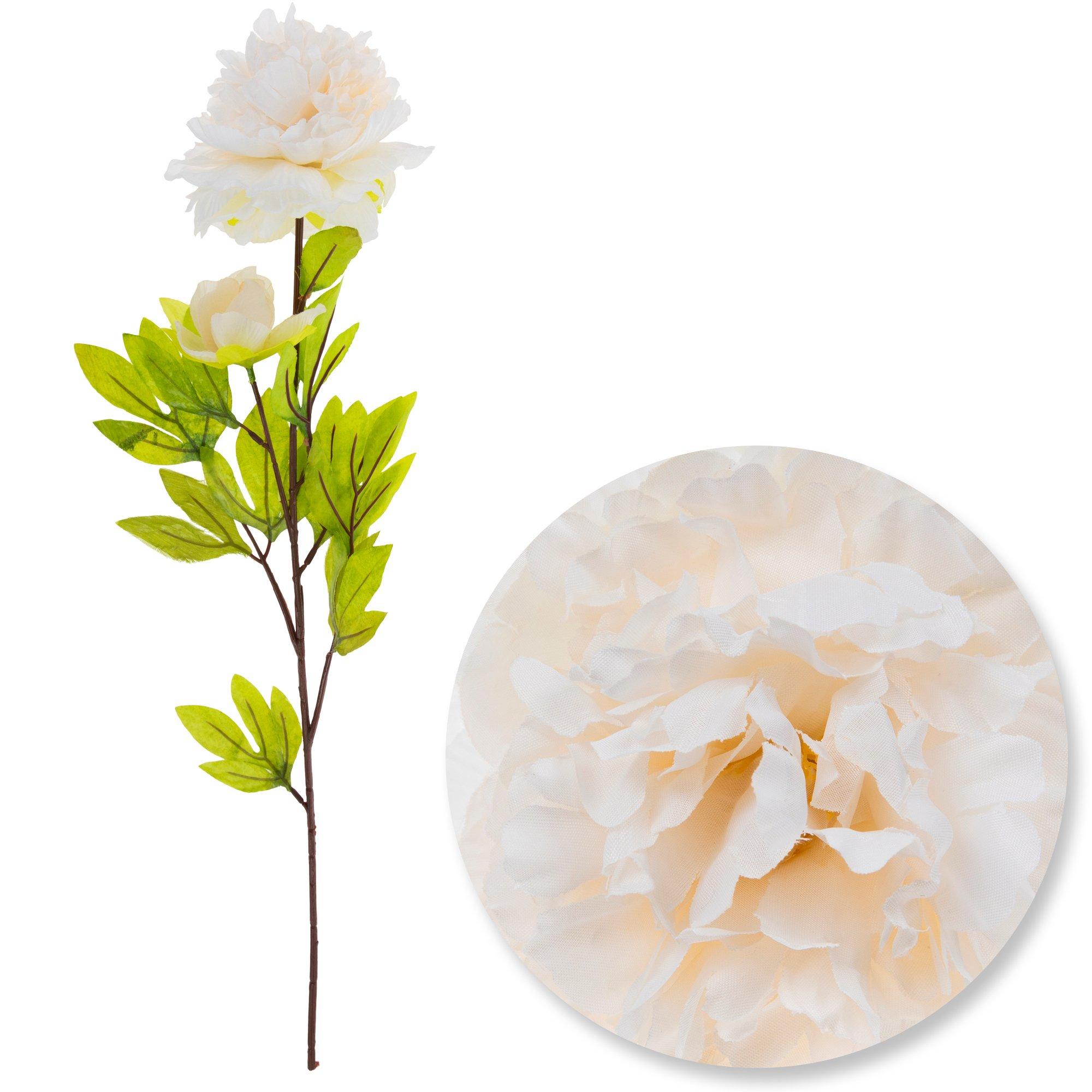 Selected Product Image