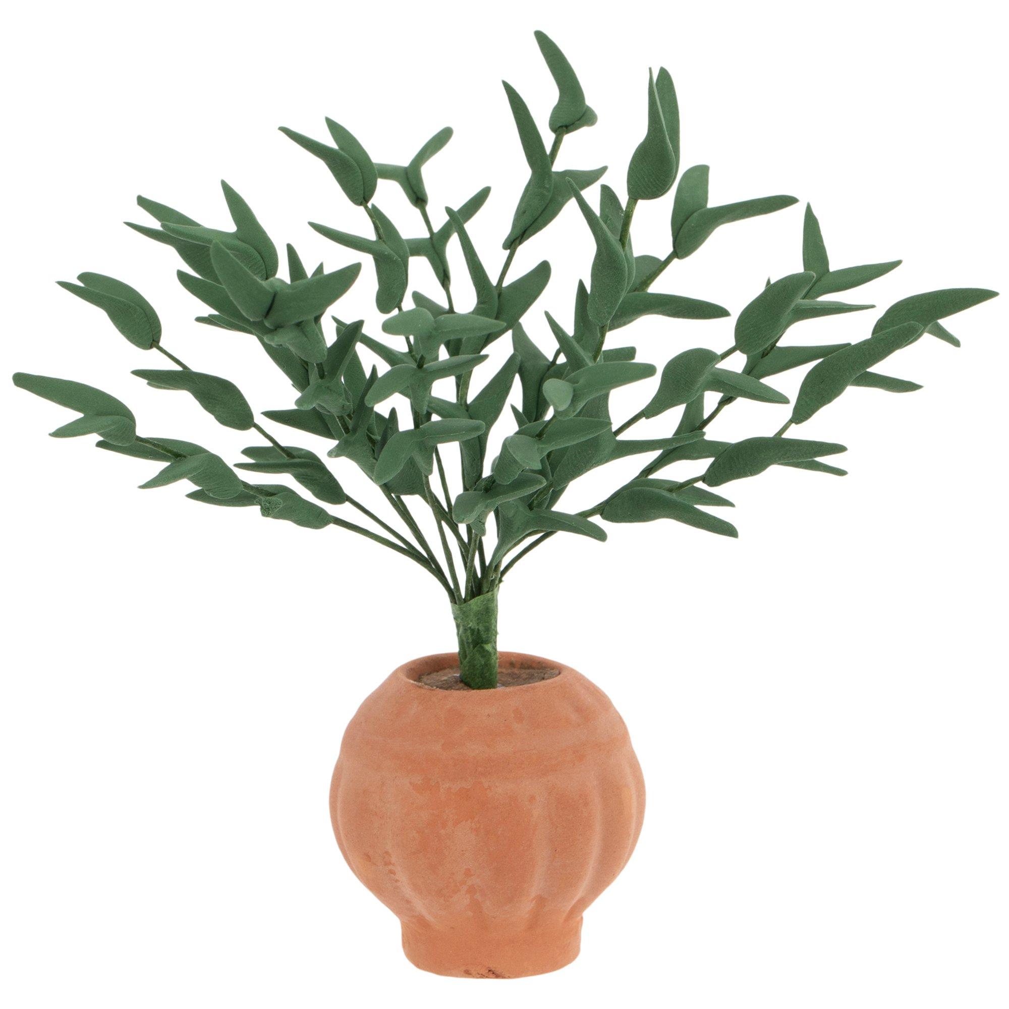 Miniature Potted Ficus Tree Hobby Lobby 343376