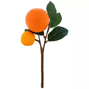 Oranges On Branch
