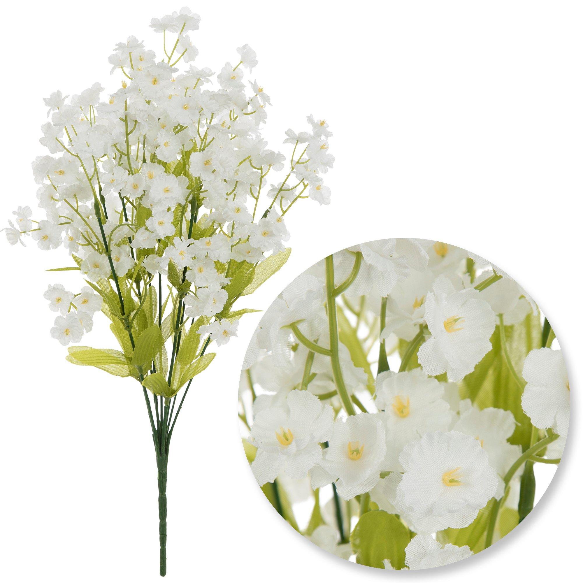 Selected Product Image