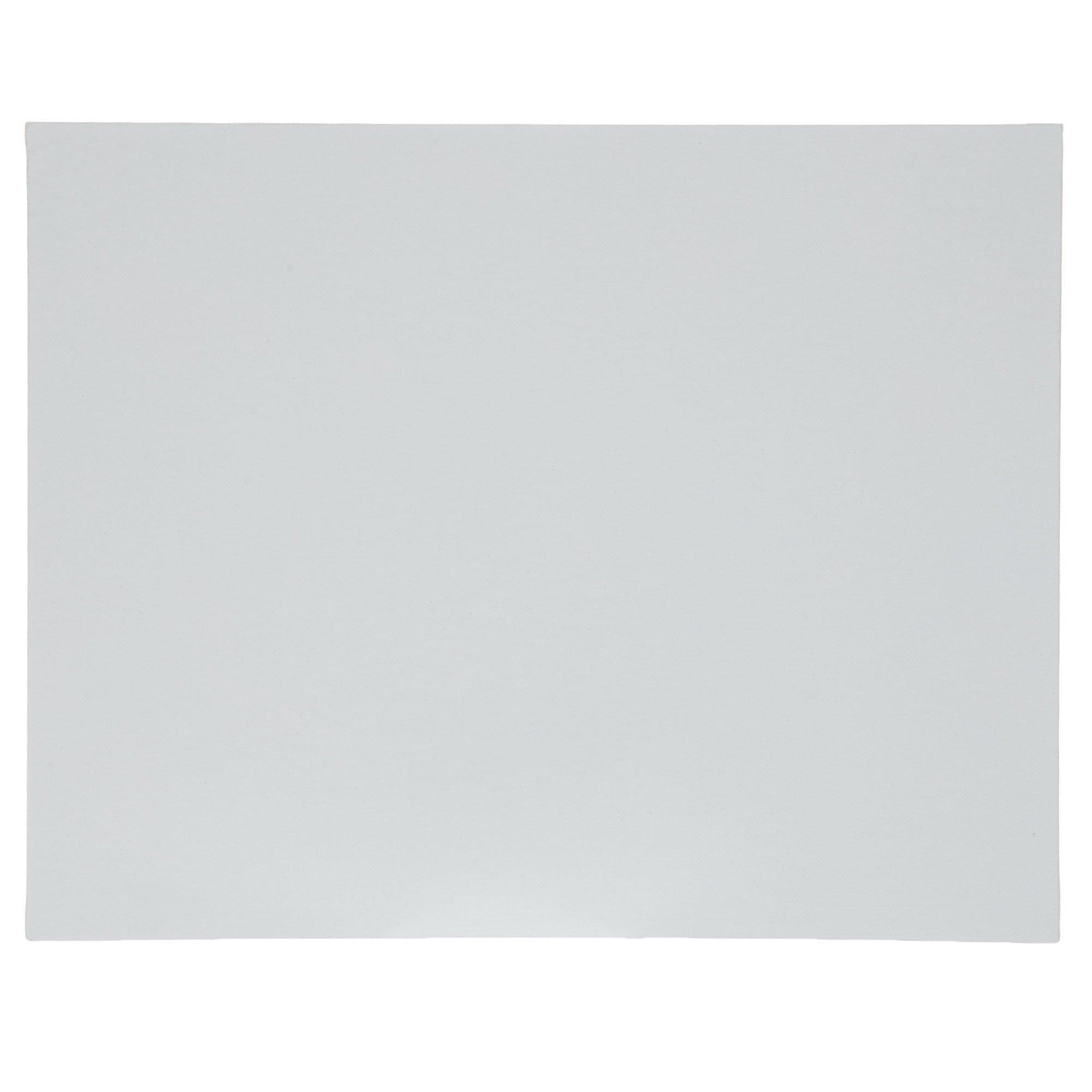 Canvas Panels 18x24 inch 6-Pack, 10 oz Double Primed Acid-Free 100% Cotton Large Canvases for Painting, Blank Flat Canvas Board for Oil Acrylics