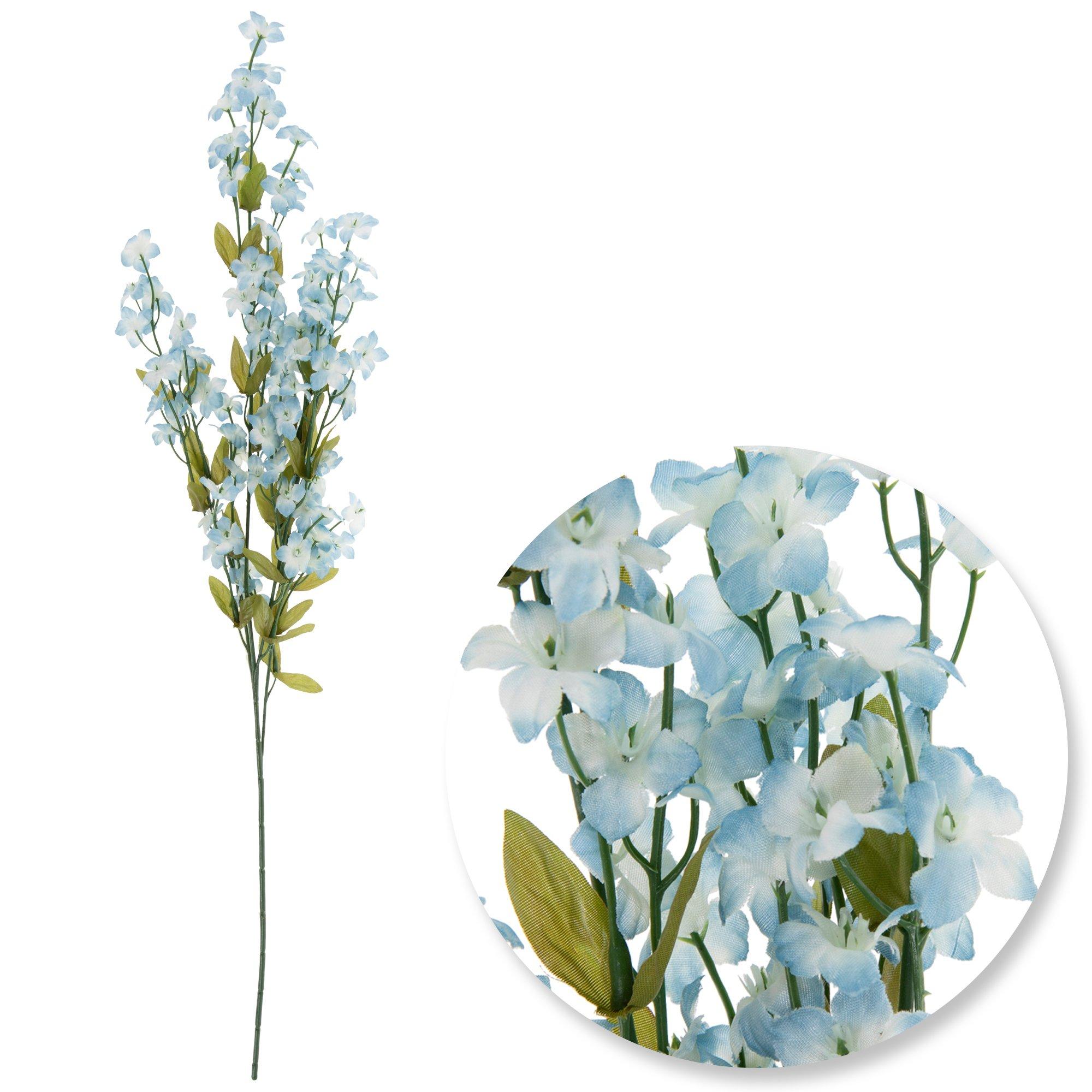 Selected Product Image