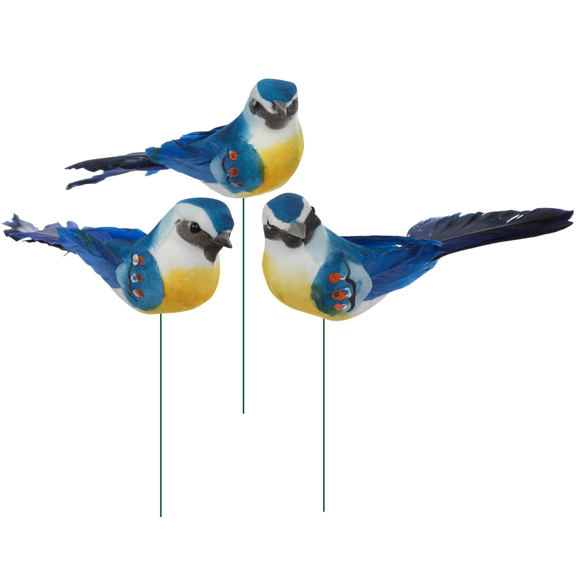 Birds Hobby Lobby 368126