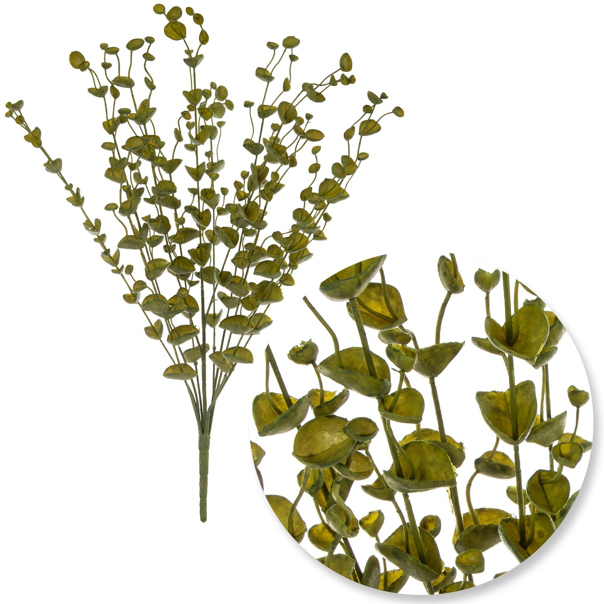 Selected Product Image