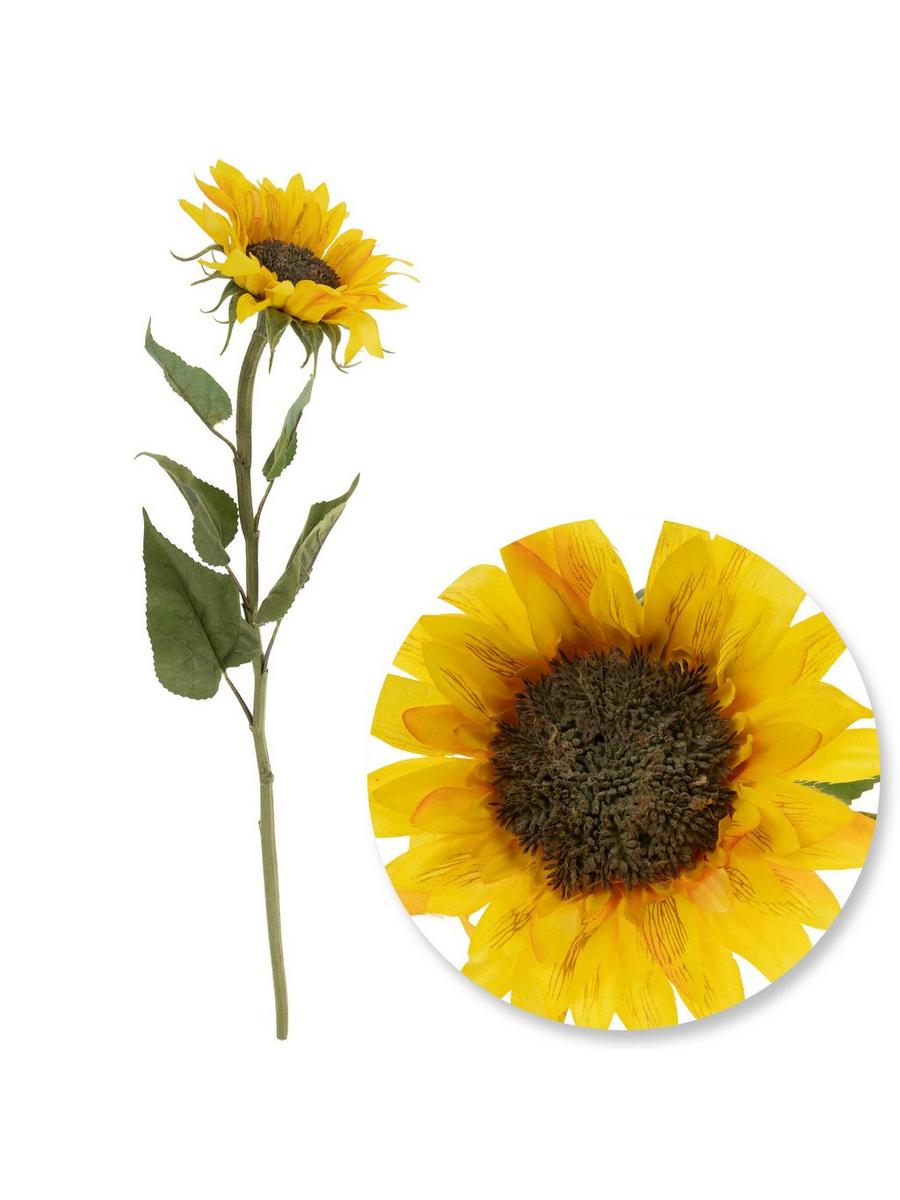 額装品/Sunflowers for Hope（デビット ホックニー） Sotheby's to