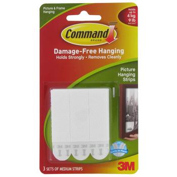 Medium Picture Hanging Strips
