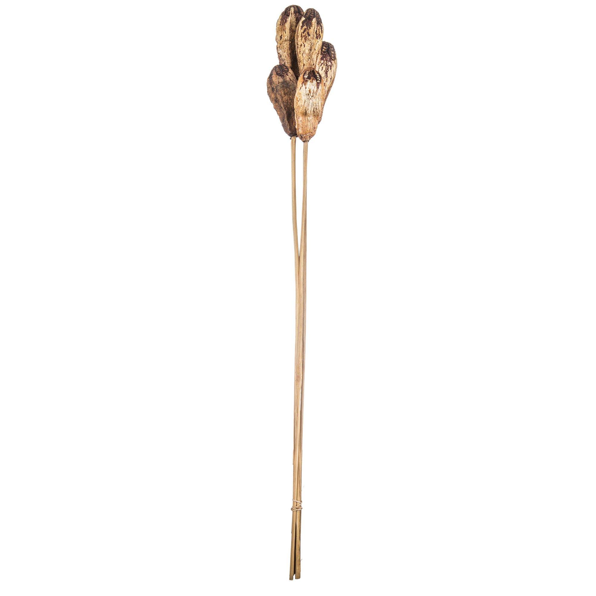 Selected Product Image