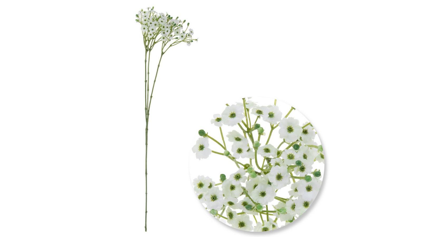 美品 gypsophila Floret Pants / White 美品 gypsophila Floret Pants / White Flora Pant - White