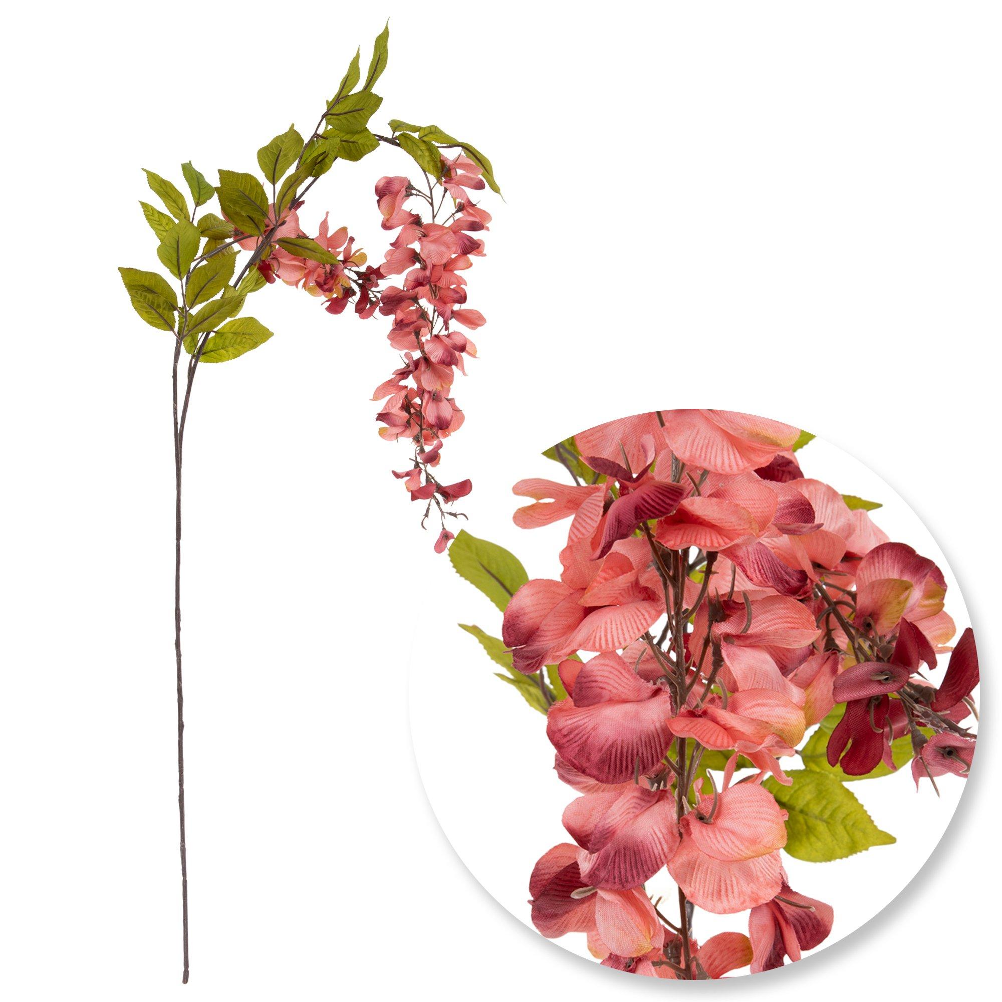 Wisteria Stem