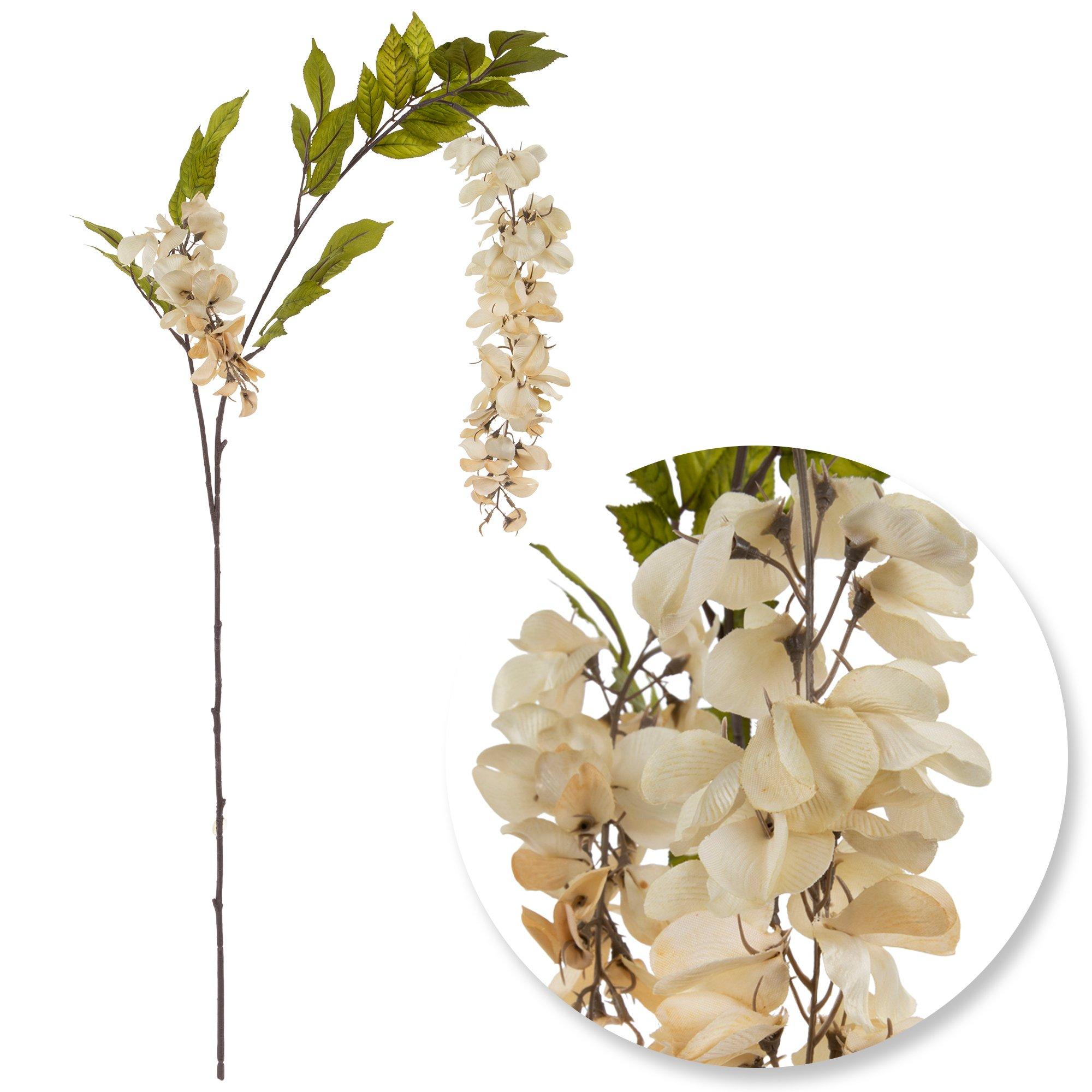 Wisteria Stem