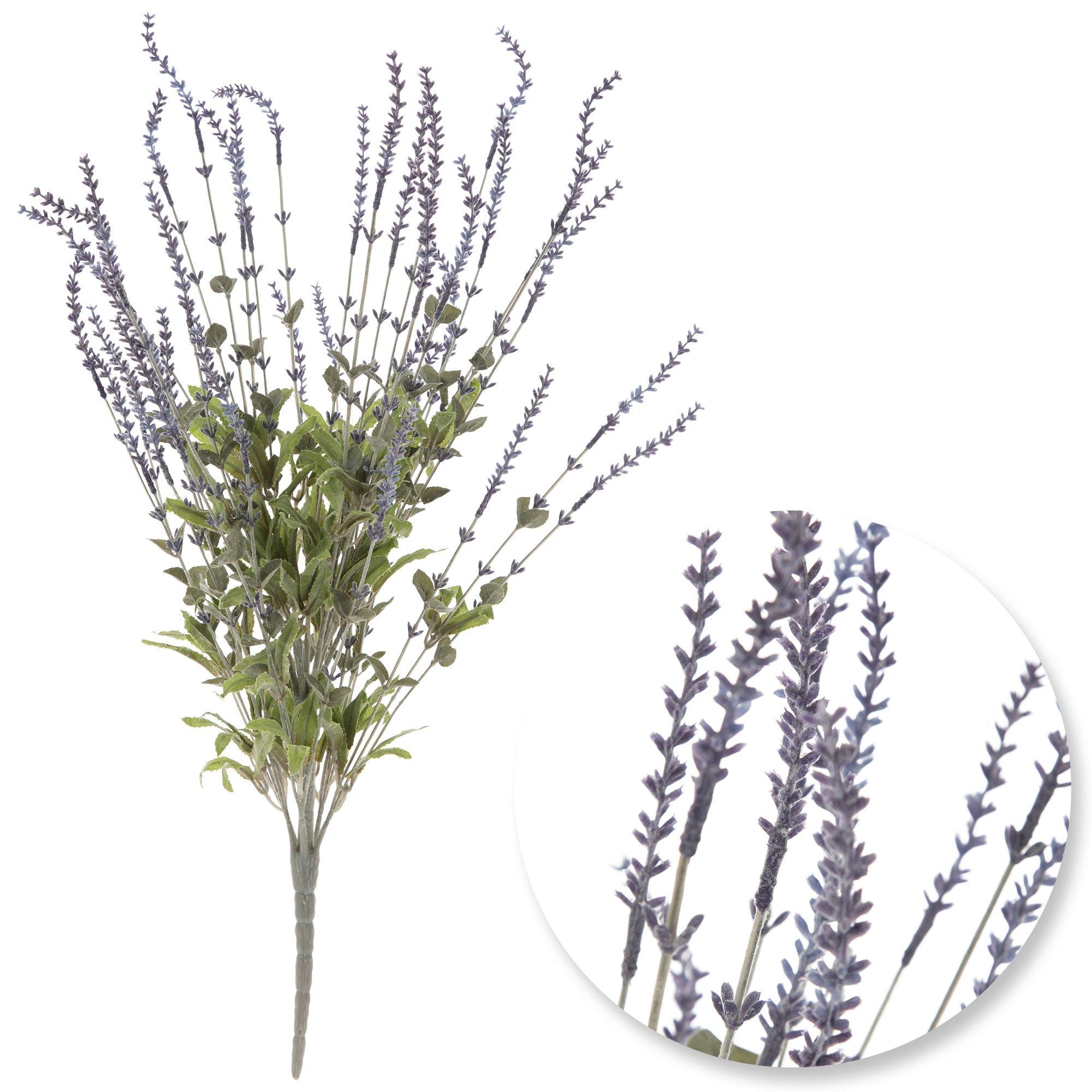 Selected Product Image