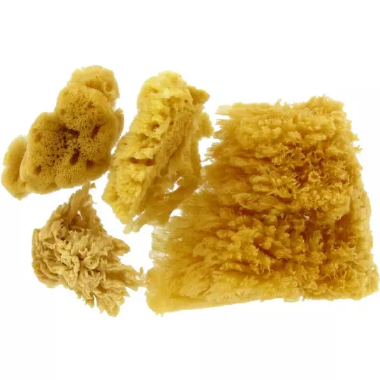 Paint Plate Set Sponge Cover Yellow Strip Zirconia Hair - Temu