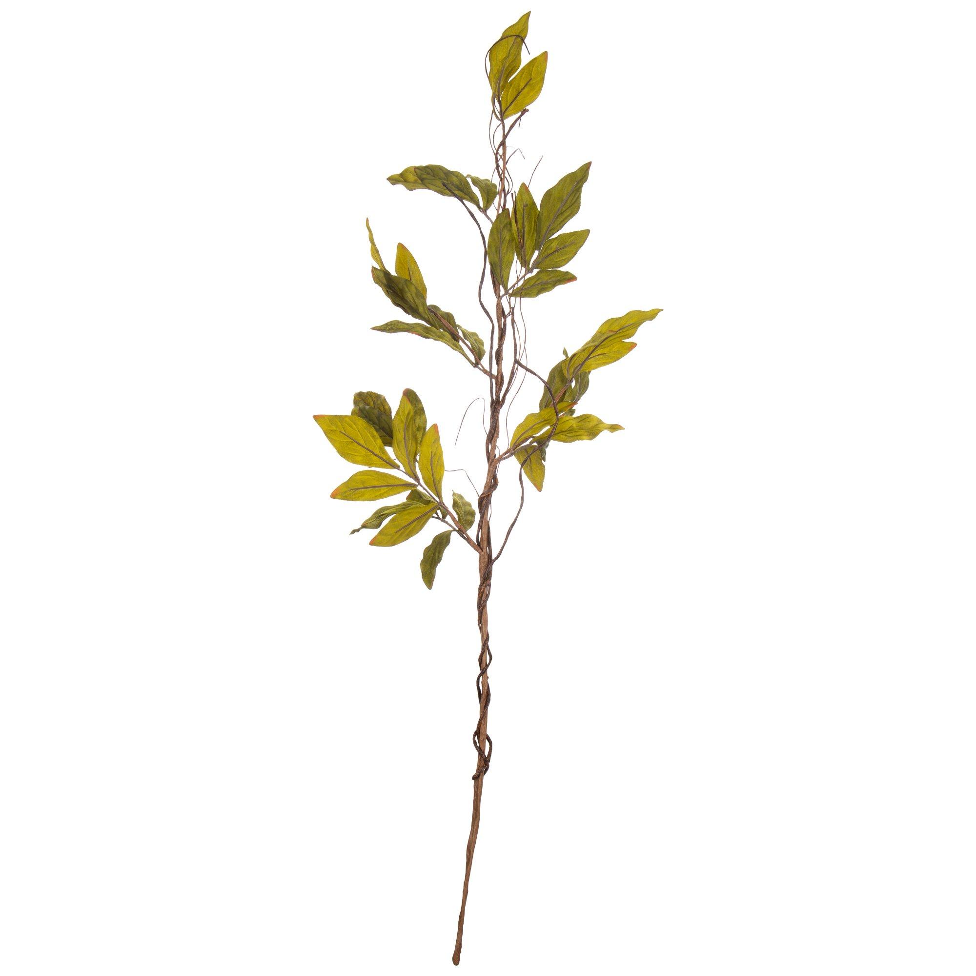Selected Product Image