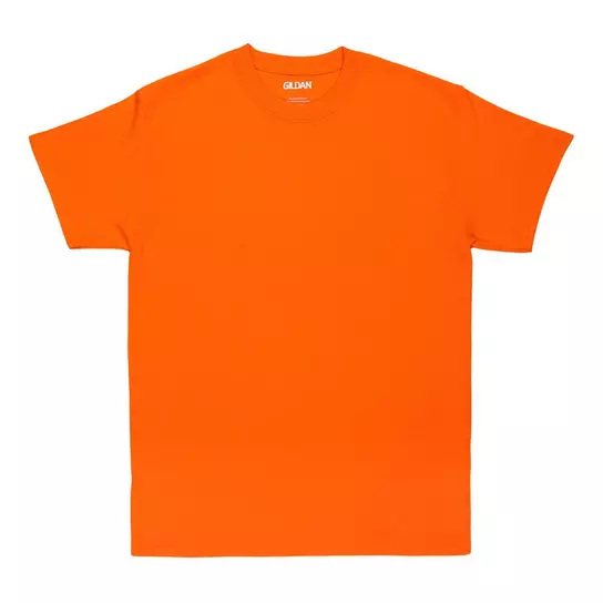 Adult T-Shirt | Hobby Lobby | 422873