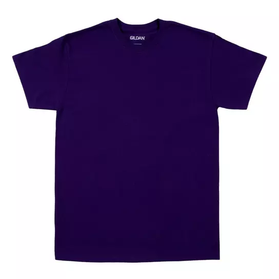 Adult T-Shirt | Hobby Lobby | 422907