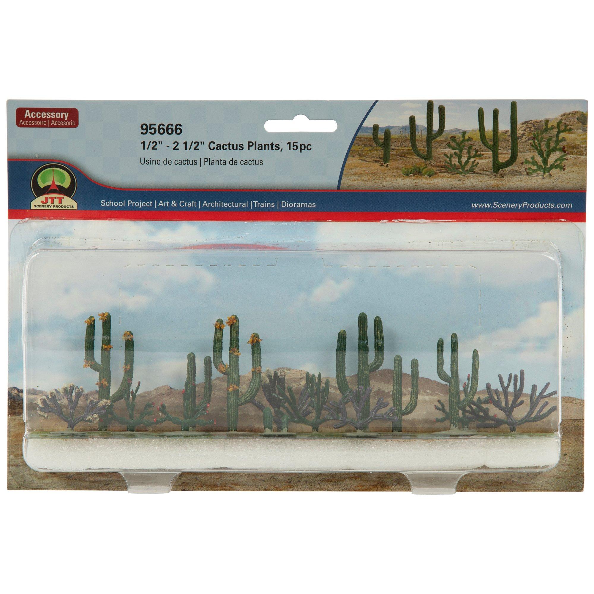 Cactus Plants
