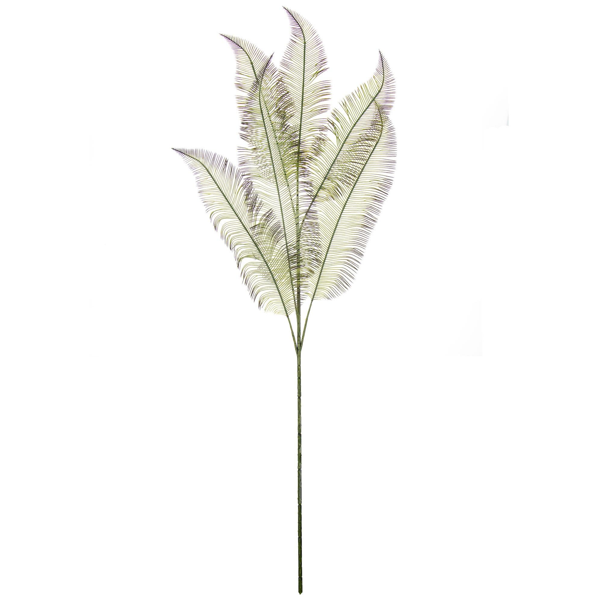 Selected Product Image