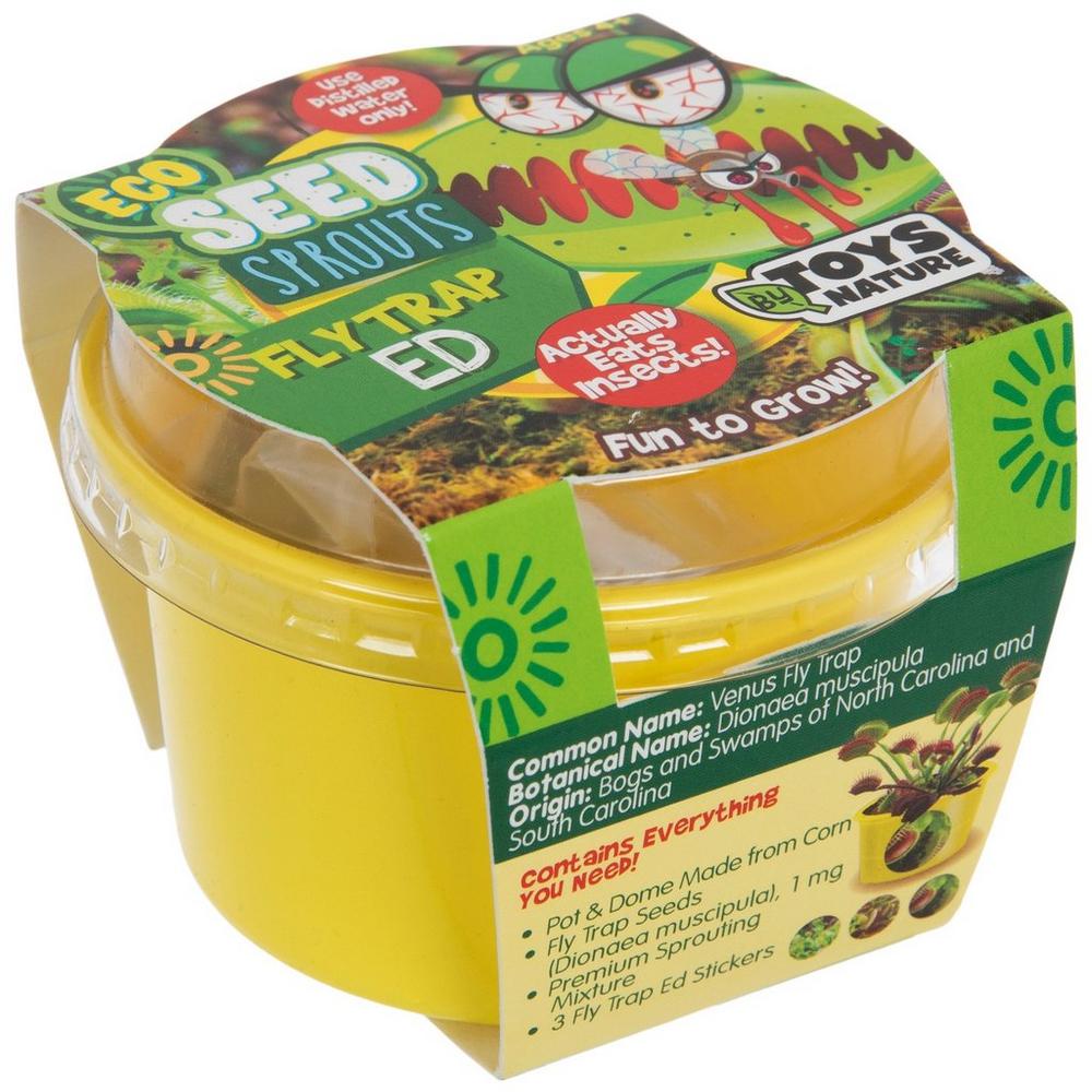 Fly Trap Ed Eco Seed Sprouts | Hobby Lobby | 459891