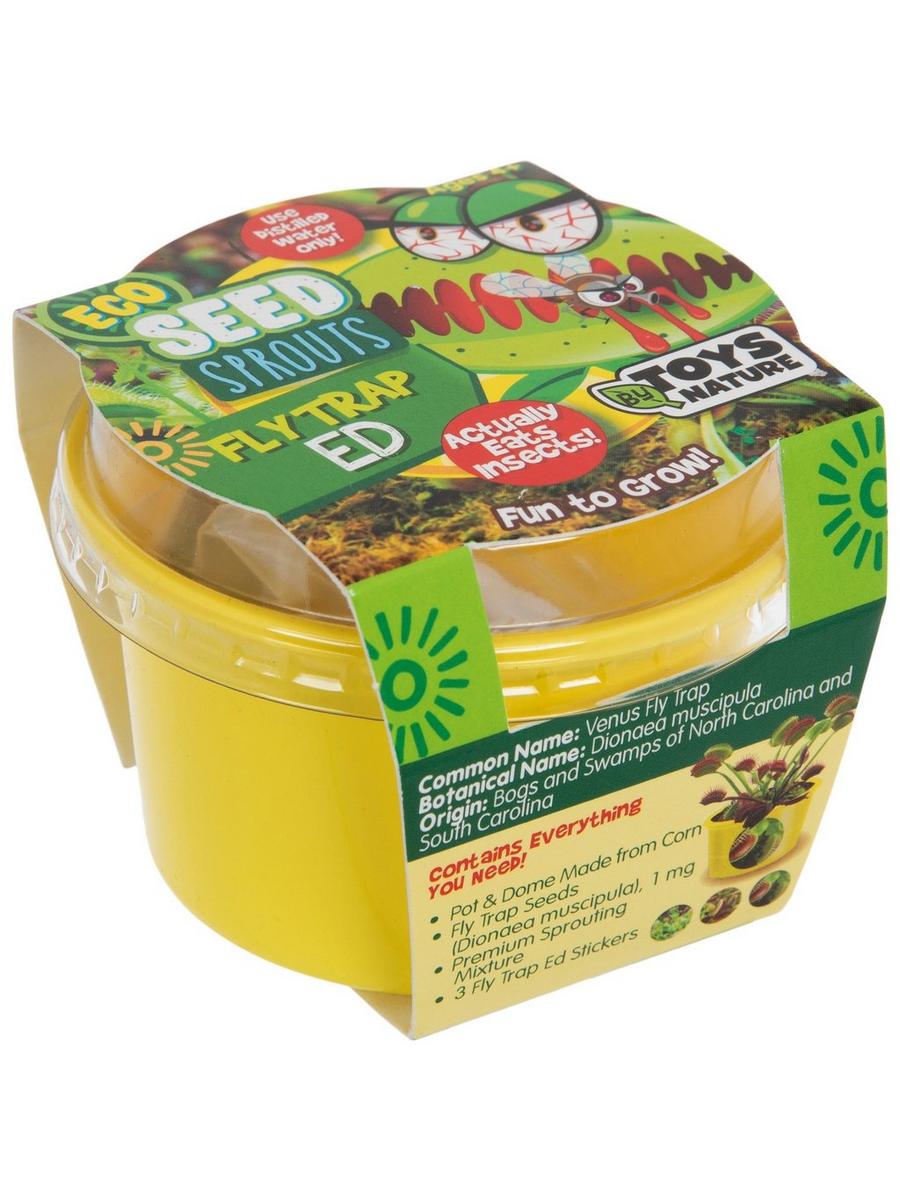 Fly Trap Ed Eco Seed Sprouts | Hobby Lobby | 459891