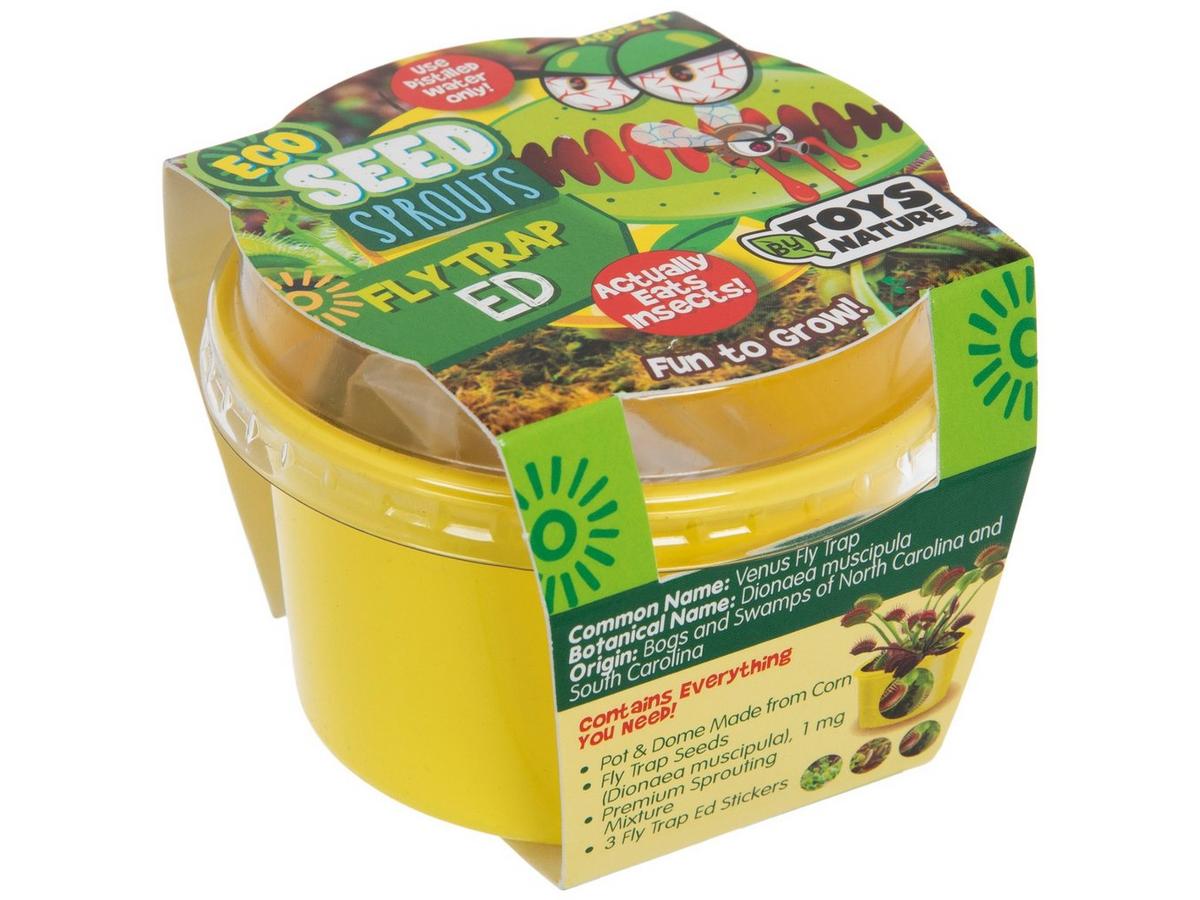 高品質　グリーンフラワーアゲート　ミニスフィア　7個セット Fly Trap Ed Eco Seed Sprouts | Hobby Lobby | 459891