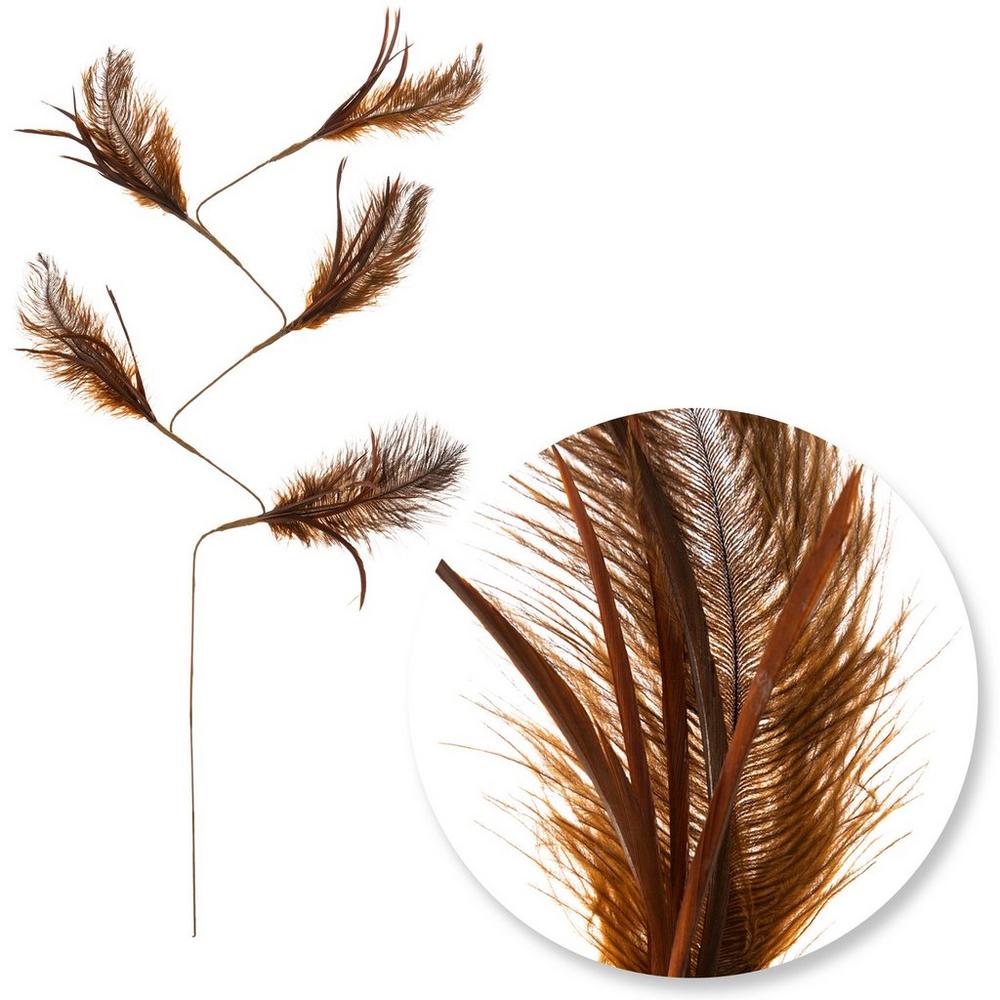 Ostrich Feathers 4-8