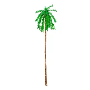 Hanging Palm Tree