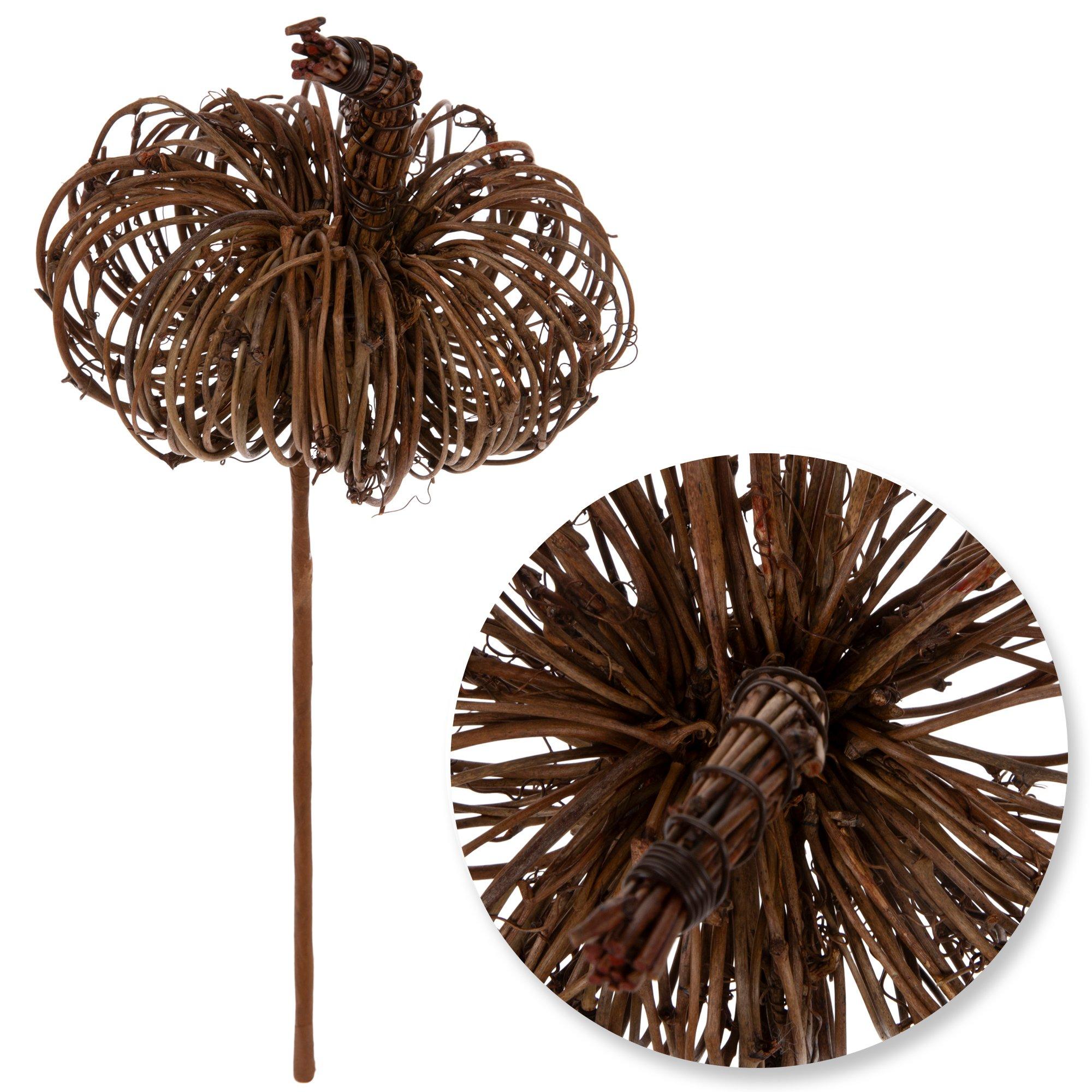 Selected Product Image