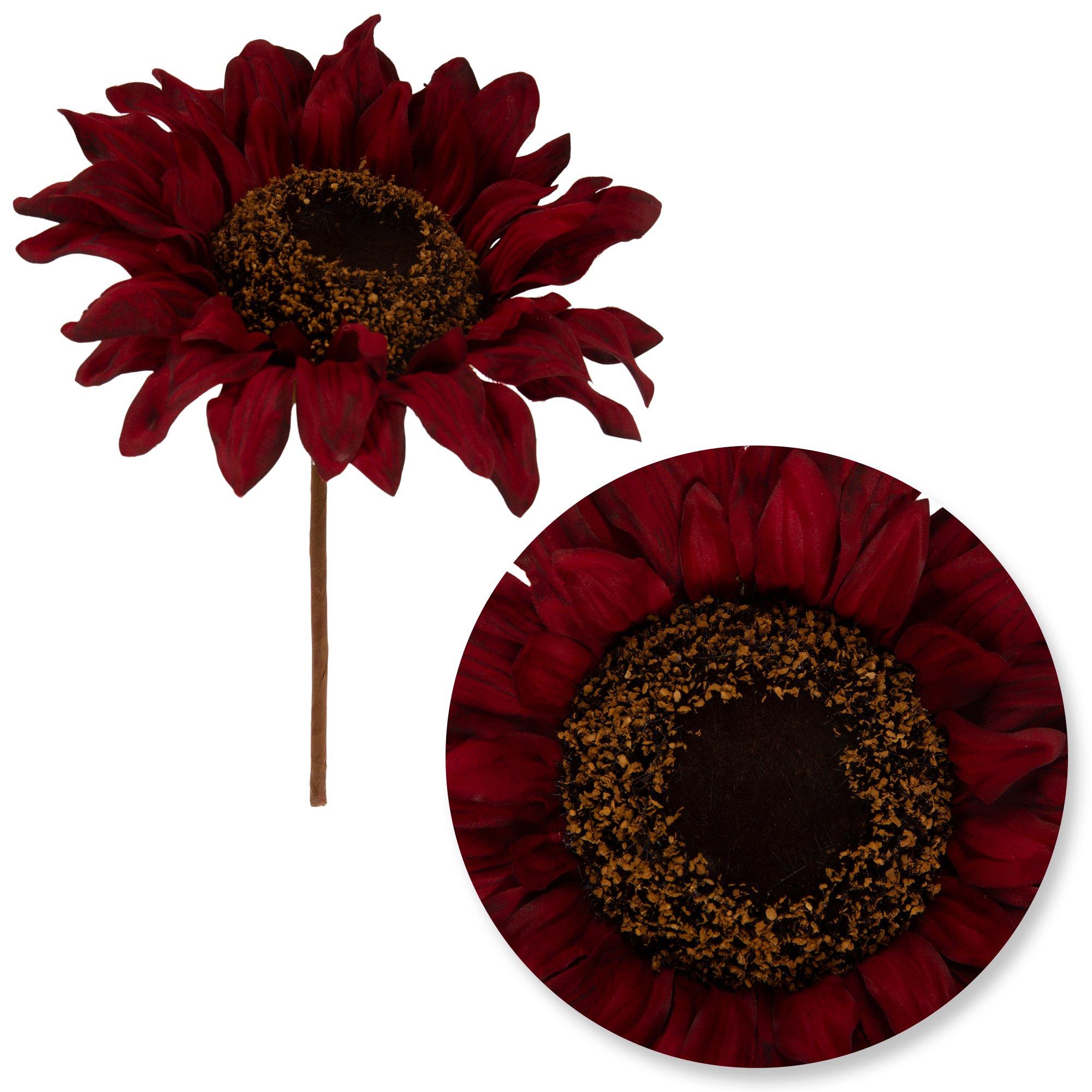 Selected Product Image