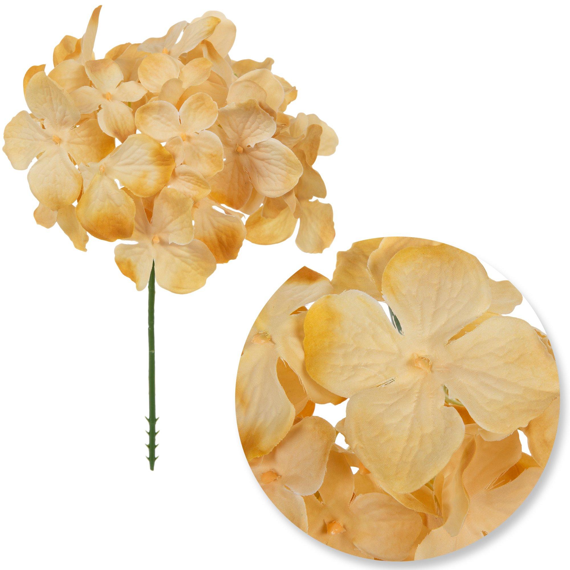 Selected Product Image