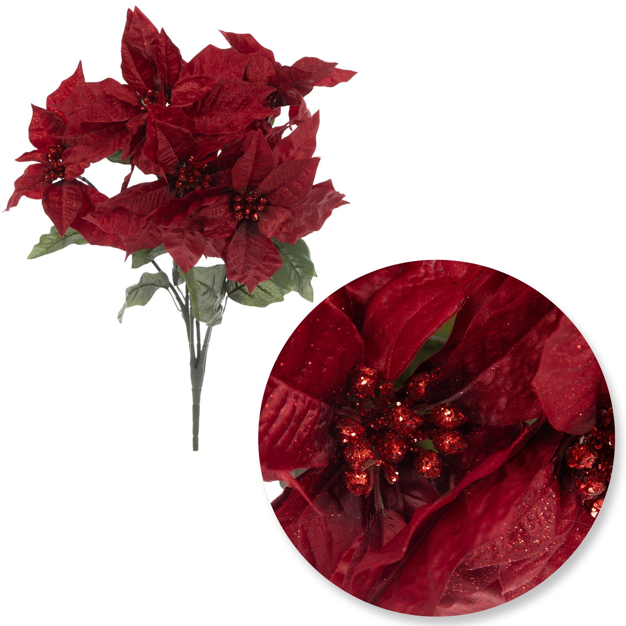 Selected Product Image