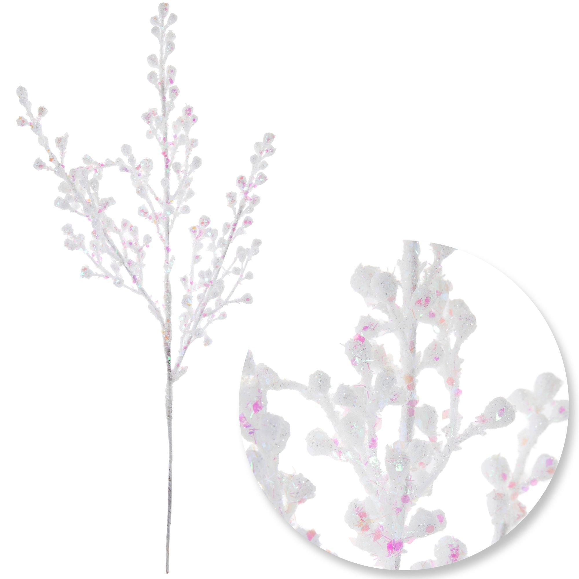 Selected Product Image