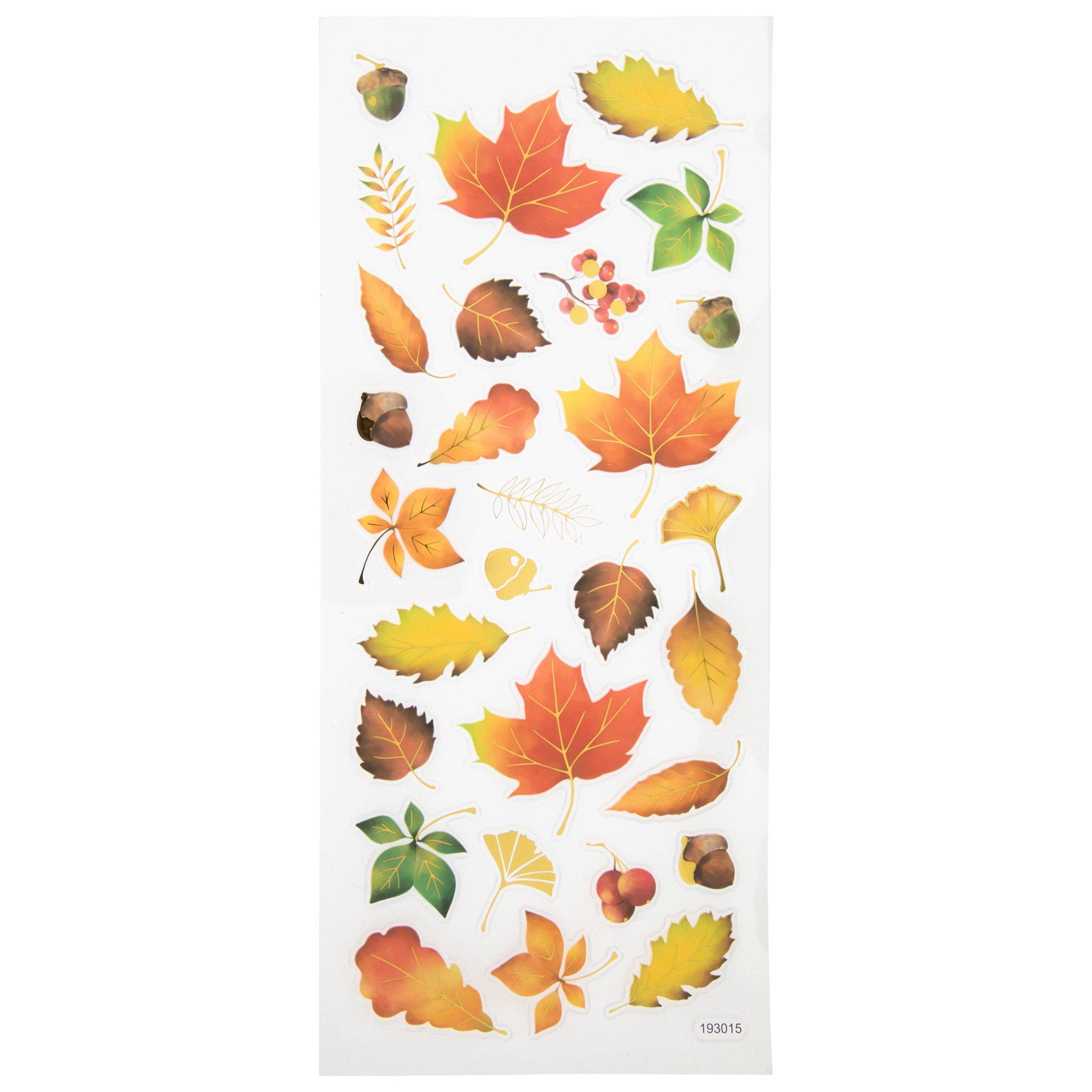 Selected Product Image