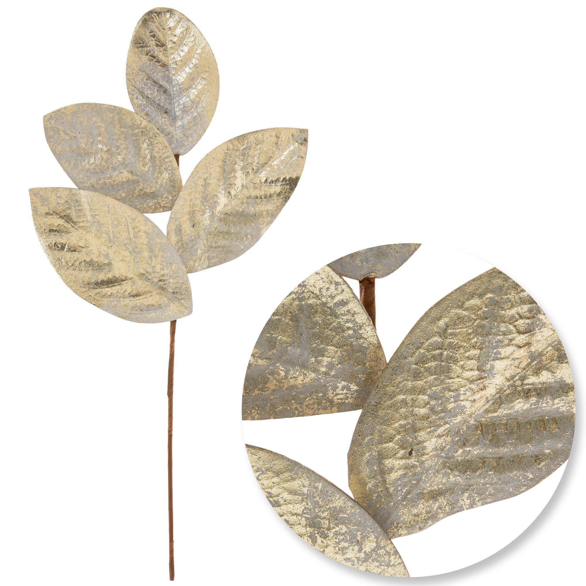 Selected Product Image