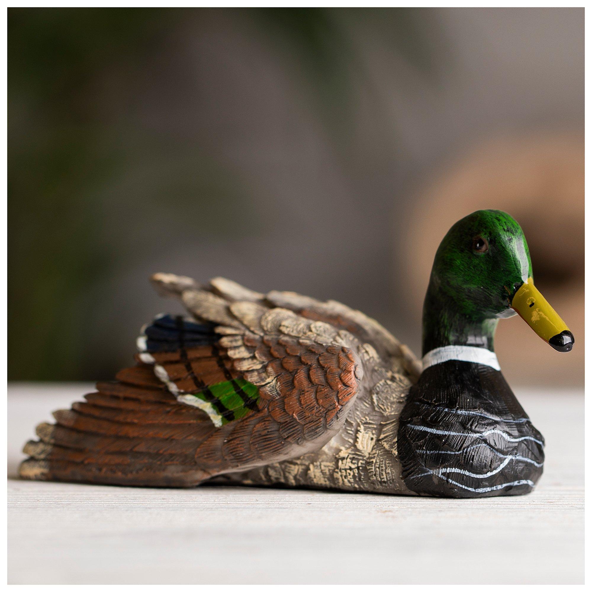 Mallard Duck Hobby Lobby 517367