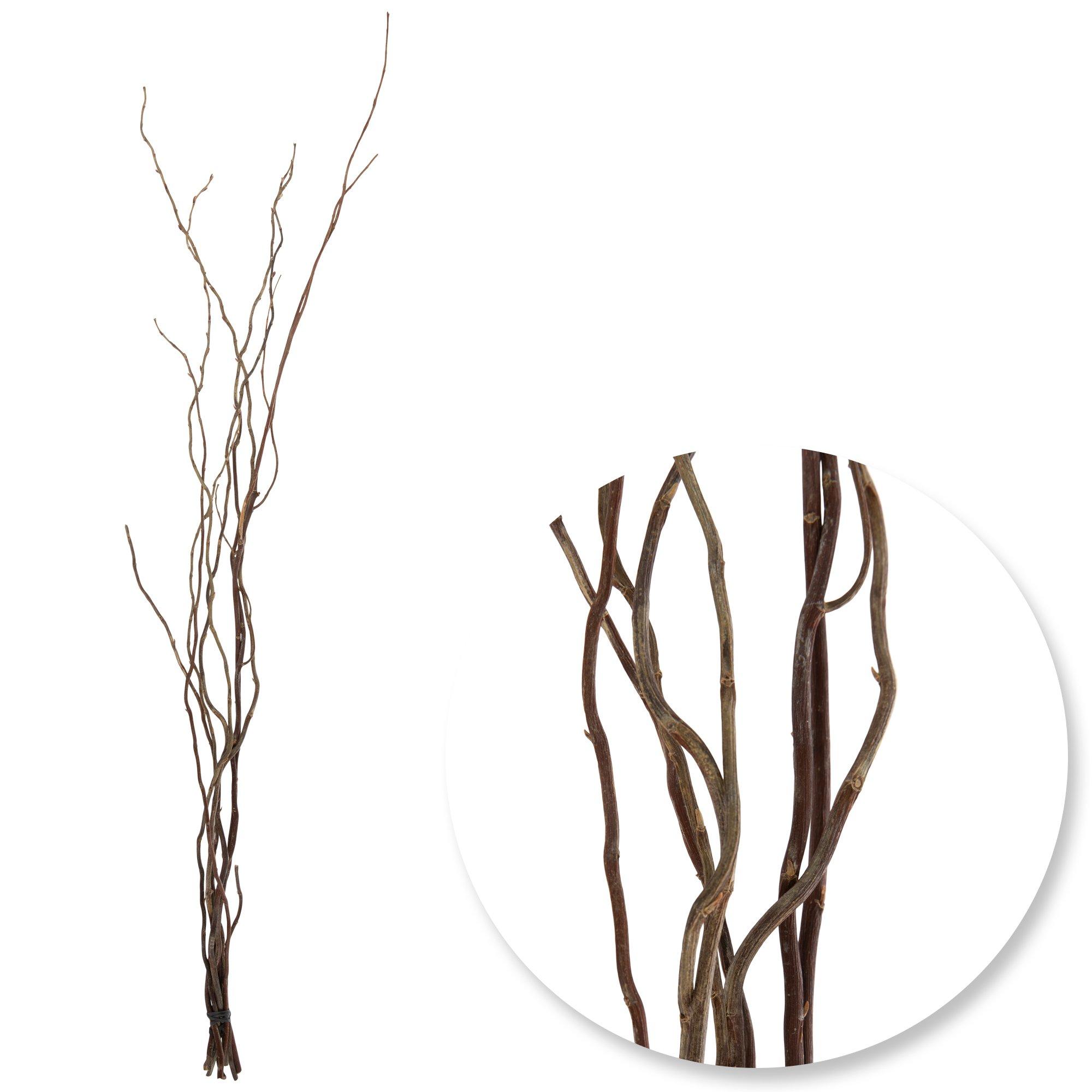 Brown Curly Willow Stems view 1