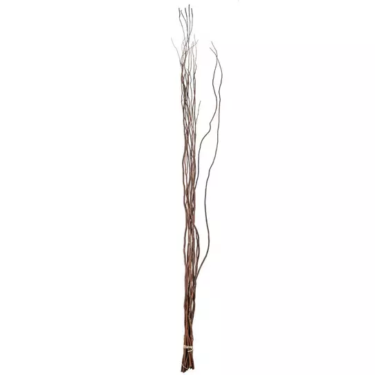 Ashland Natural Curly Willow - Each