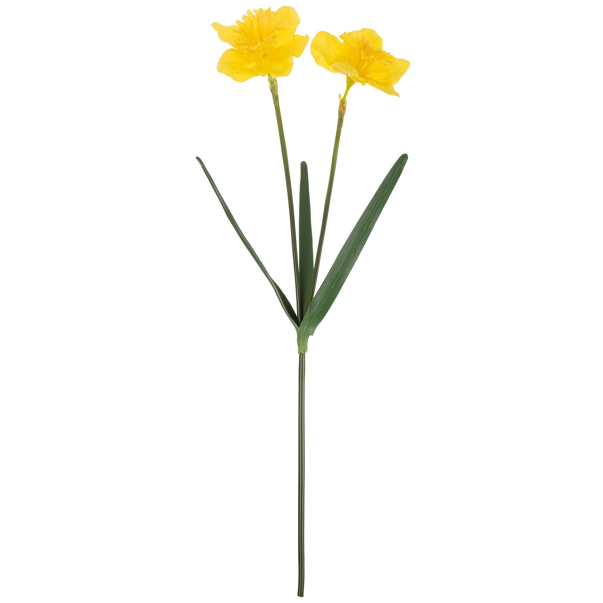 Yellow Daffodil Stem Hobby Lobby 5201603