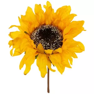 ALMSTHRE Saddle Bag - Sunflower Yellow Sunflower Yellow