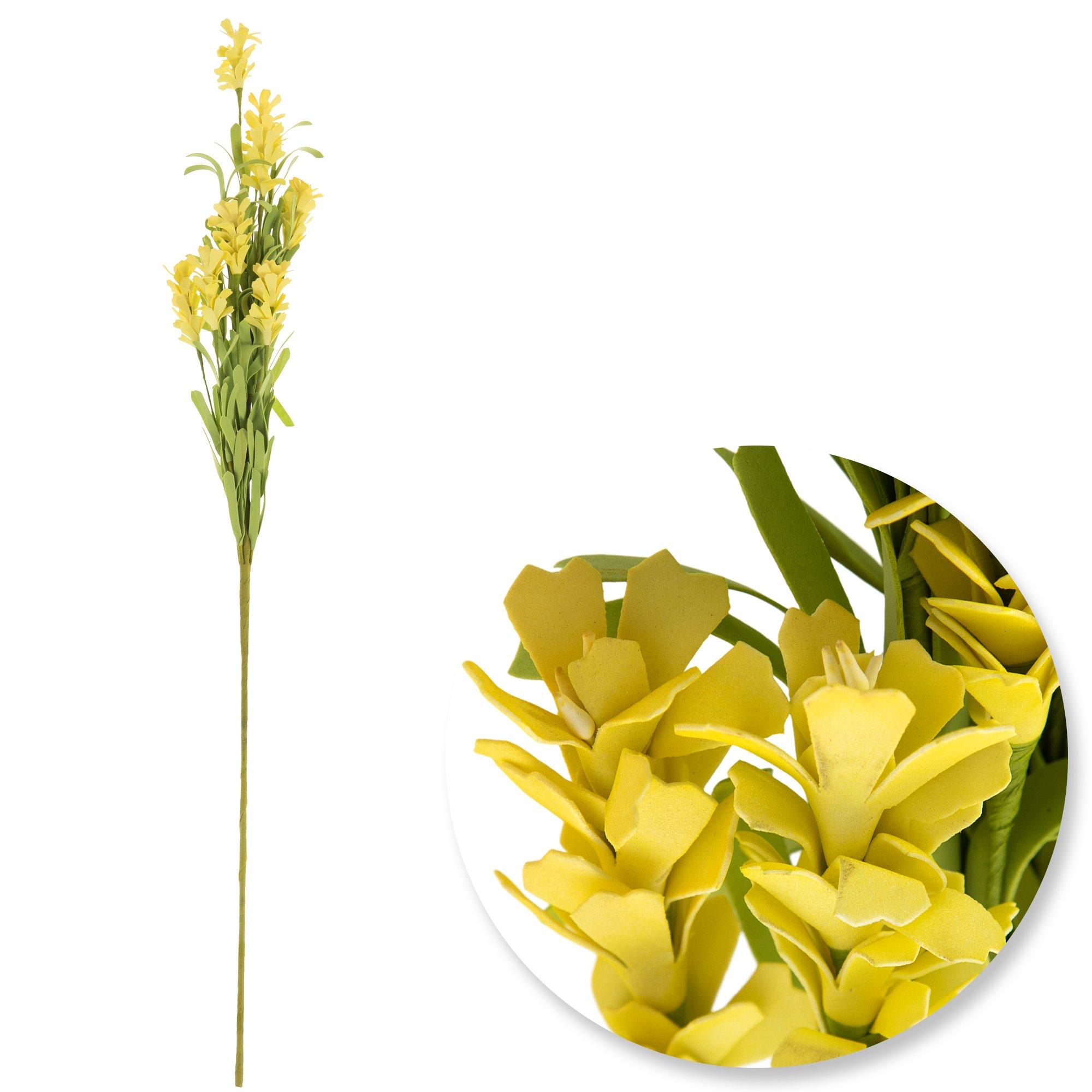 Selected Product Image