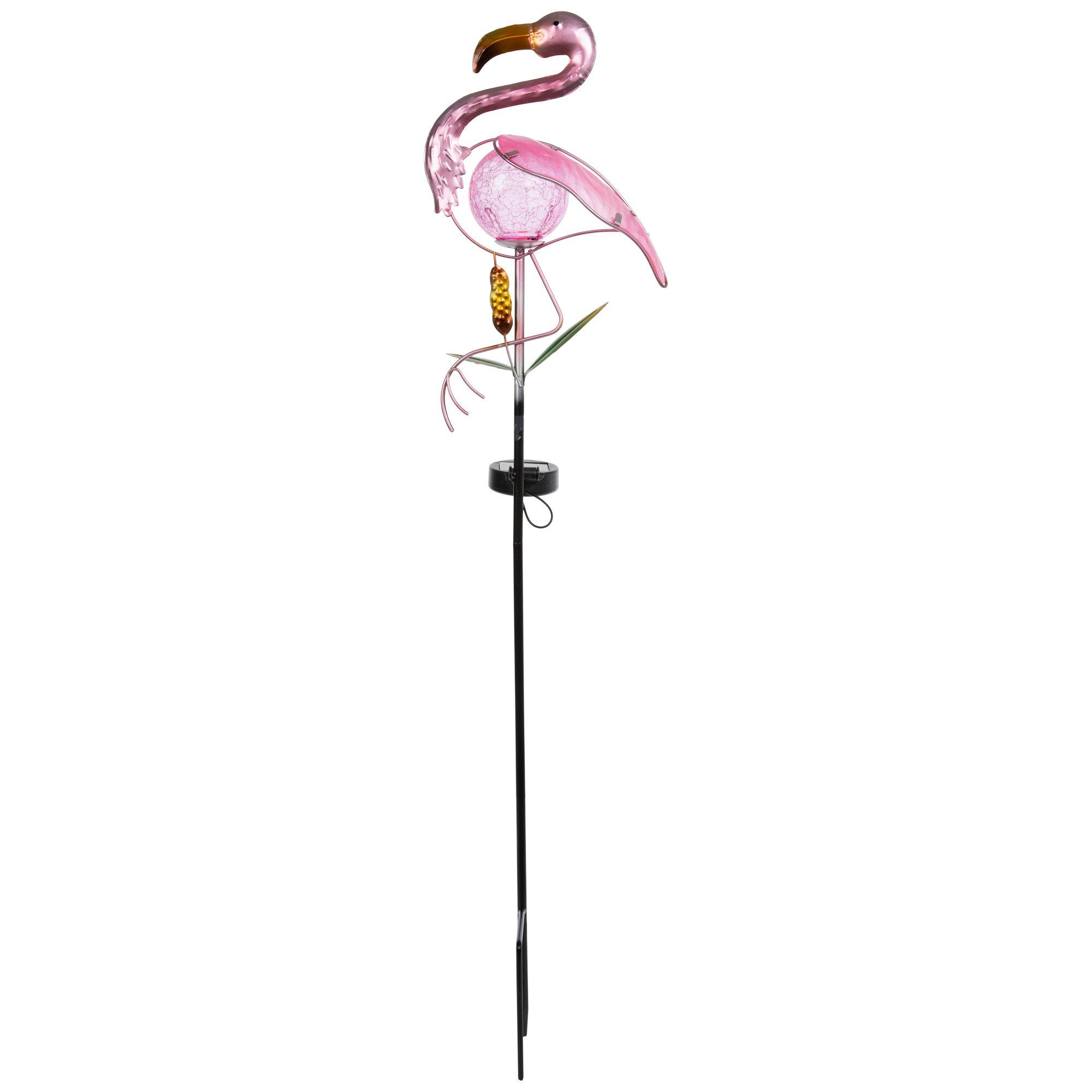 Flamingo\