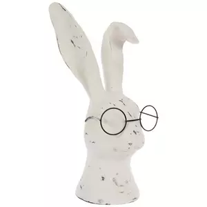 Distressed White Rabbit Wearing Glasses