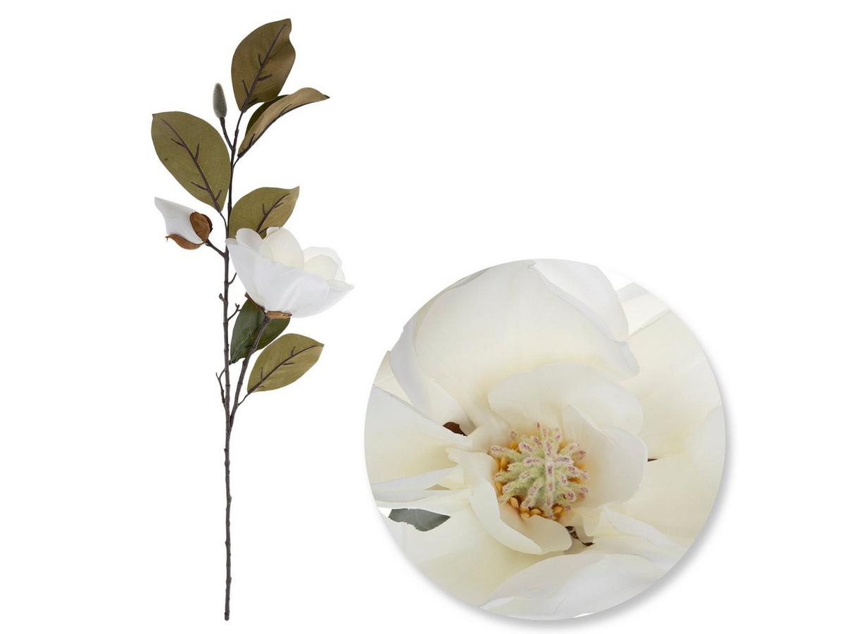 kmrii × soar magnolia long cutsew Magnolia Spray | Hobby Lobby | 5265590