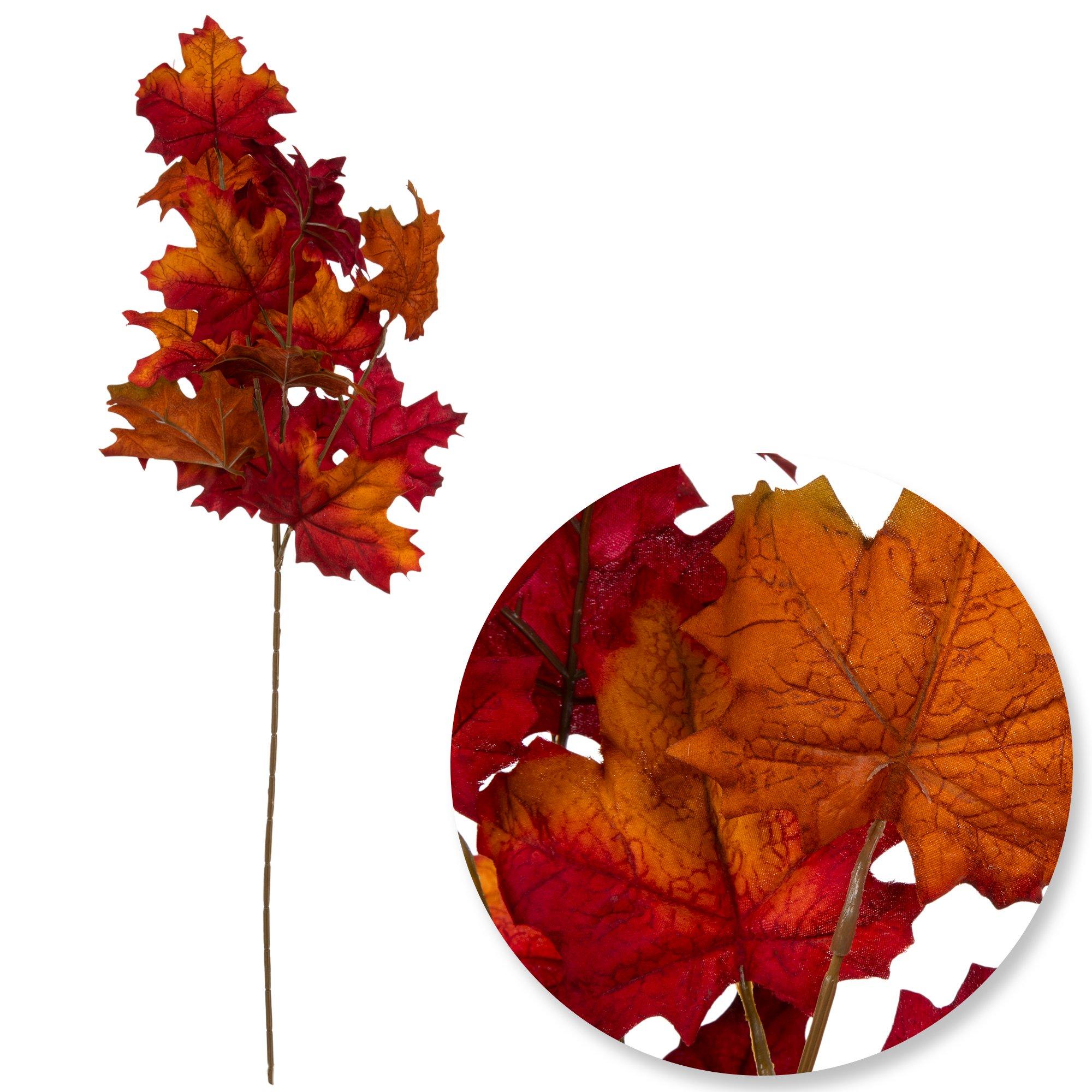 Selected Product Image