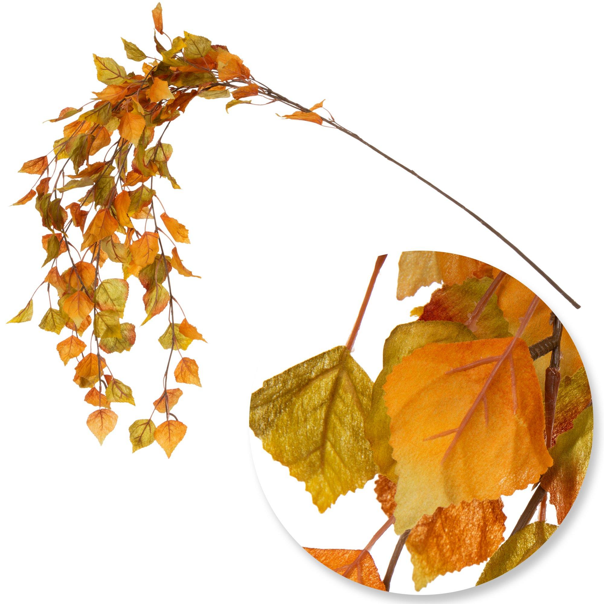 Birch Branch Hobby Lobby 5284542