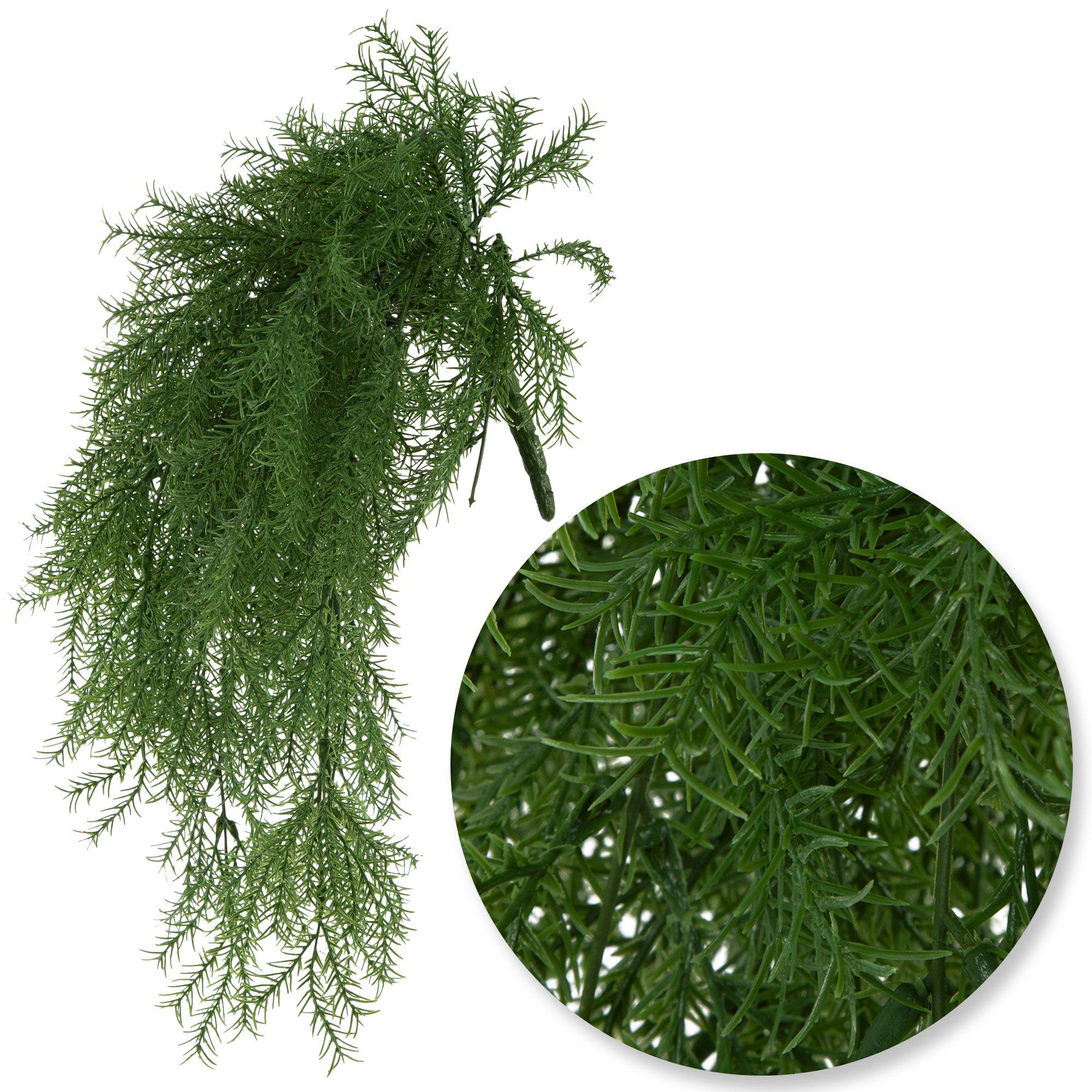 Selected Product Image