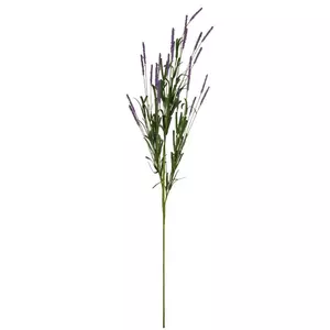 Lavender Cattail Stem